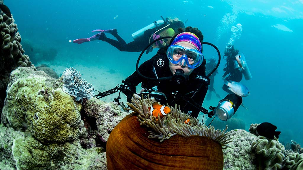 Divers den deb with anemone 5125