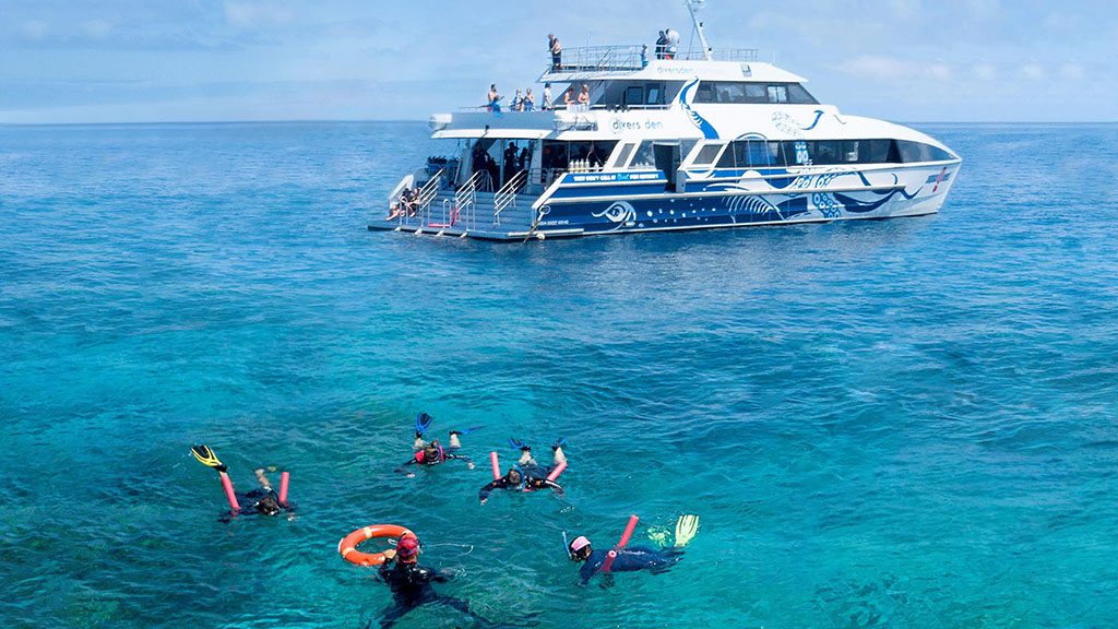 Divers den snorkelers