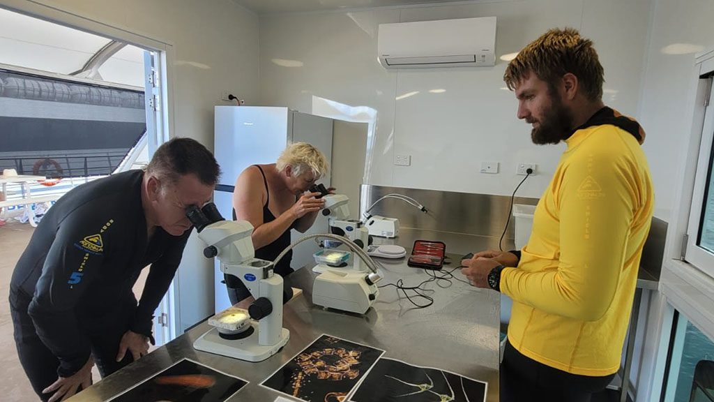 Reef magic floating lab 1024