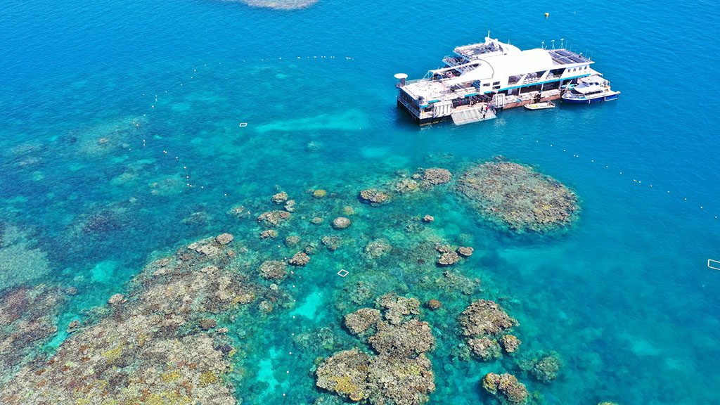 Reef magic pontoon landscape 1024