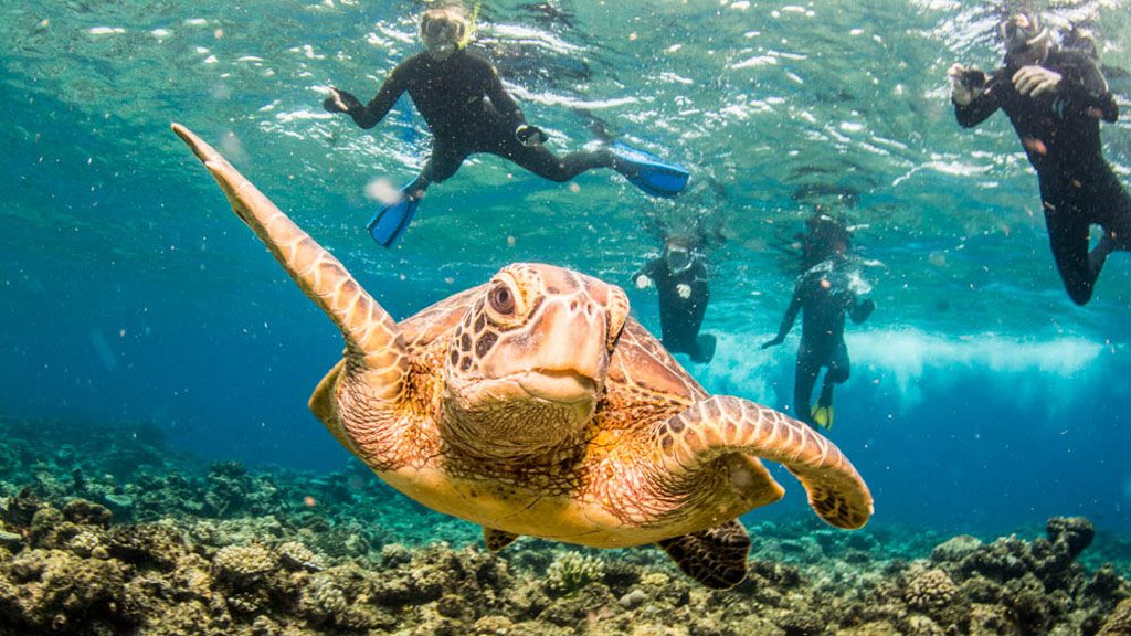 Divers Den OceanQuest Liveaboard, Great Barrier Reef, Australia