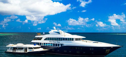 Last minute Special: Maldives Blue Force 1 and Blue Force 3