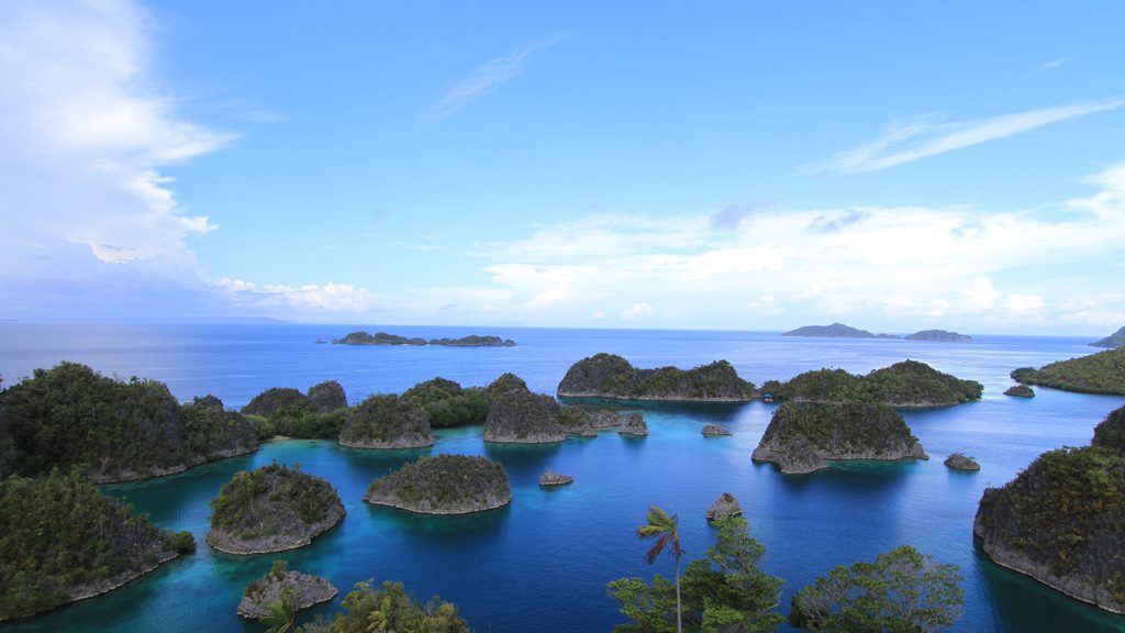 Raja Ampat Aggressor II, Liveaboard, Indonesia, The Coral Triangle