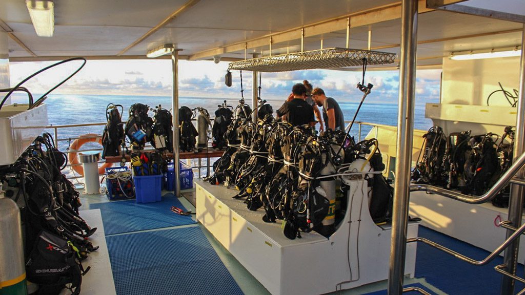 Spirit of Freedom Liveaboard, Great Barrier Reef, Australia