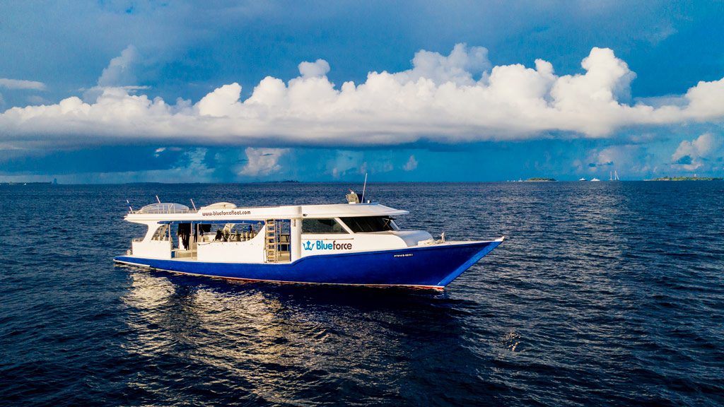 Maldives Blue Force One diving the Central Atolls of the Maildives