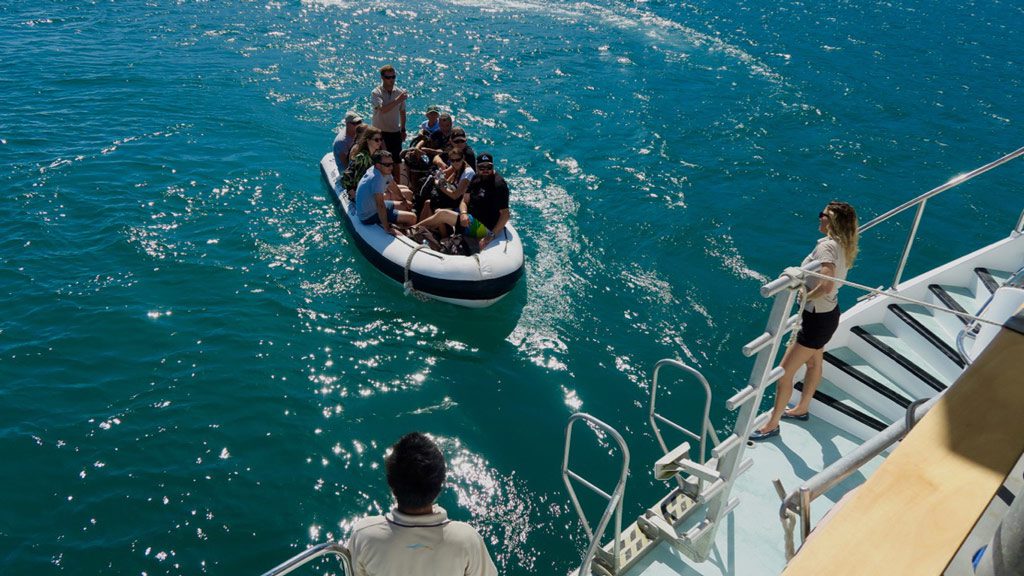 Spirit of Freedom Liveaboard, Great Barrier Reef, Australia