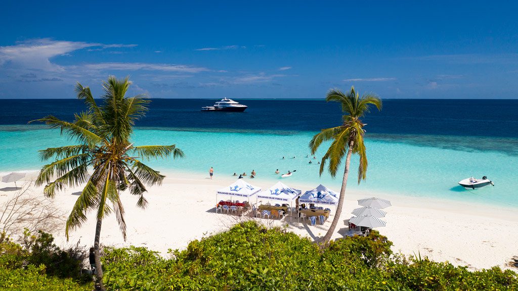 Maldives Blue Force One diving the Central Atolls of the Maildives