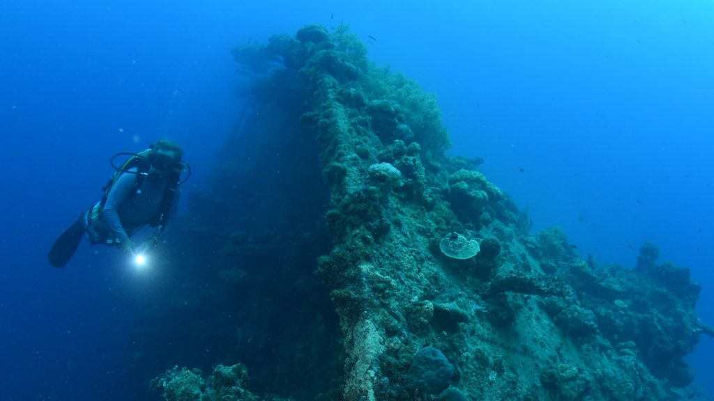 Tao Maru Ship Wreck, Gizo, Solomon Islands