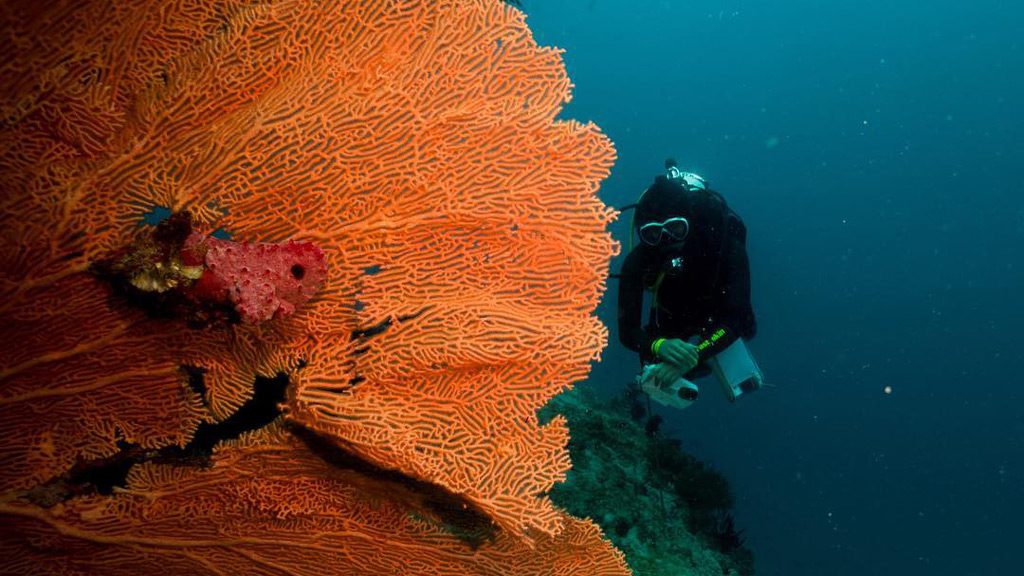 Oceanholic Divers, Dhigurah, South Ari Atolls, Maldives