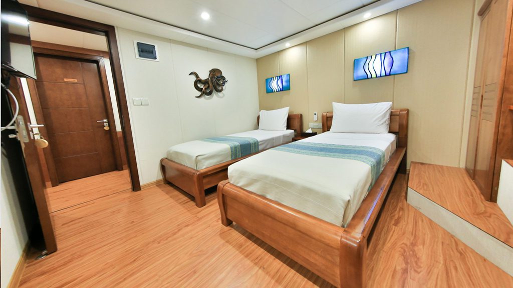 20 carpe diem cruises carpe novo south male atoll and ari atoll maldives standard cabin