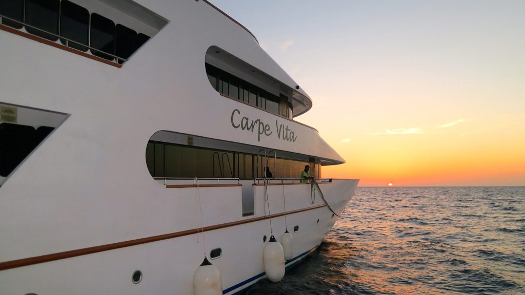 Carpe Diem Cruises, Carpe Vita Liveaboard, South Male Atoll and Ari Atoll, Maldives