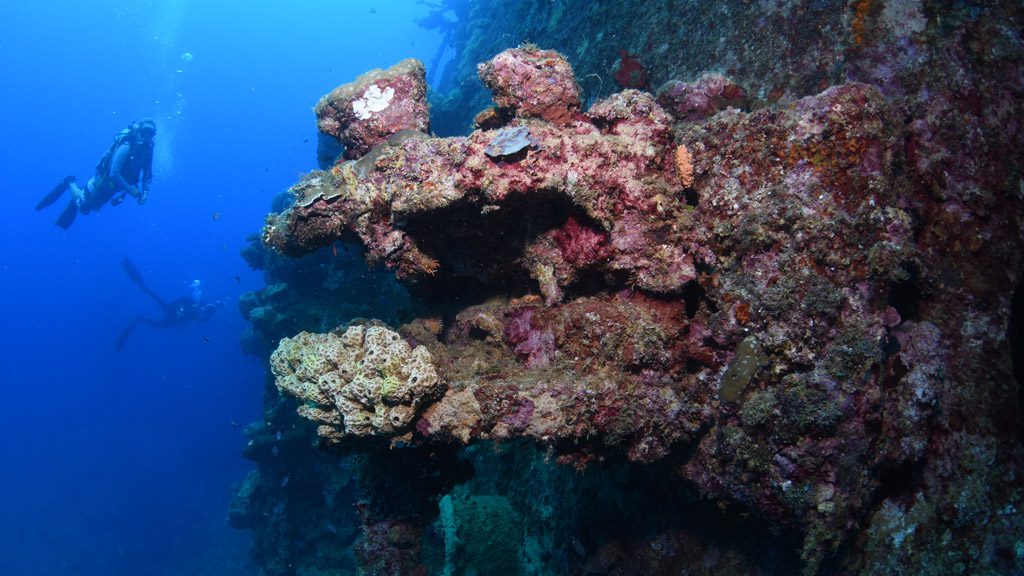 3 tao maru gizo solomon islands wreck with diver 3