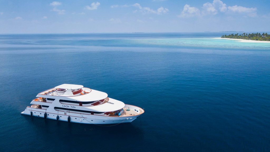 Carpe Vita Liveaboard, luxury liveaboard diving in the Maldives