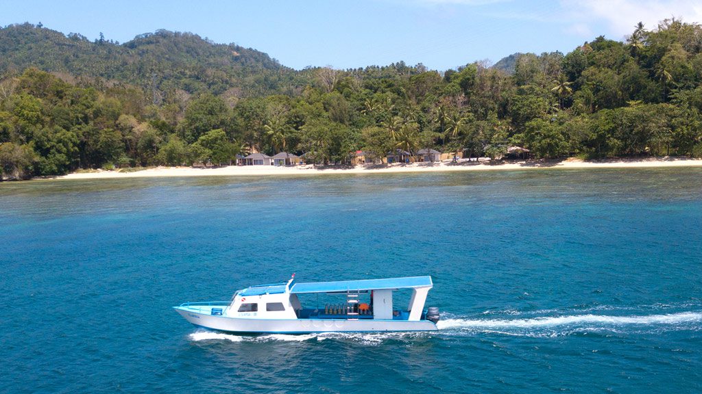 Eco Divers and White Sands Beach Resort Lembeh, North Sulawesi, Indonesia