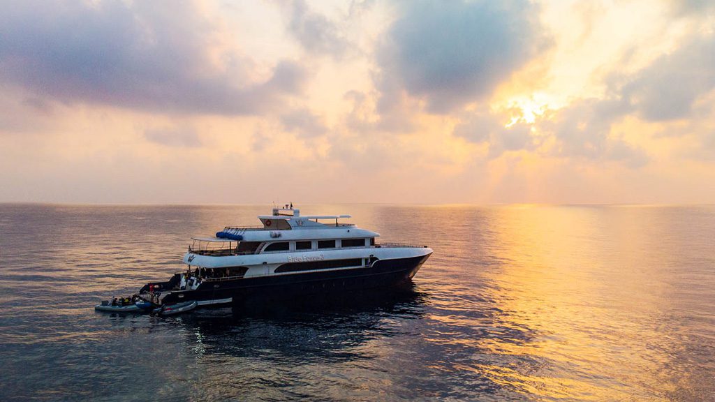 Maldives Blue Force 3 diving the Central Atolls of the Maildives