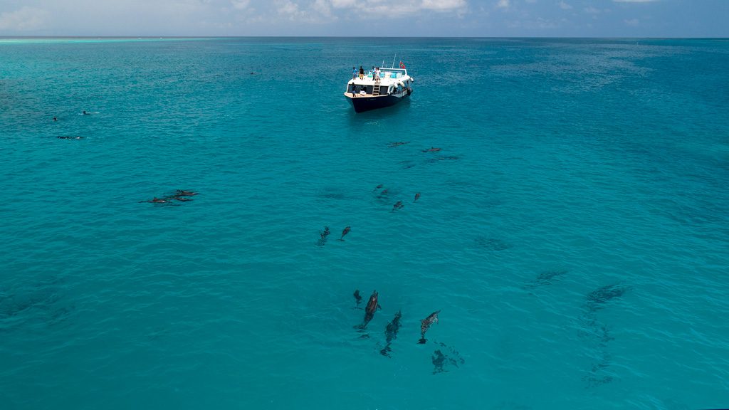 Scubaspa Liveboard, Central Atolls, Southern Atolls, Hannifaru Bay, Maldives