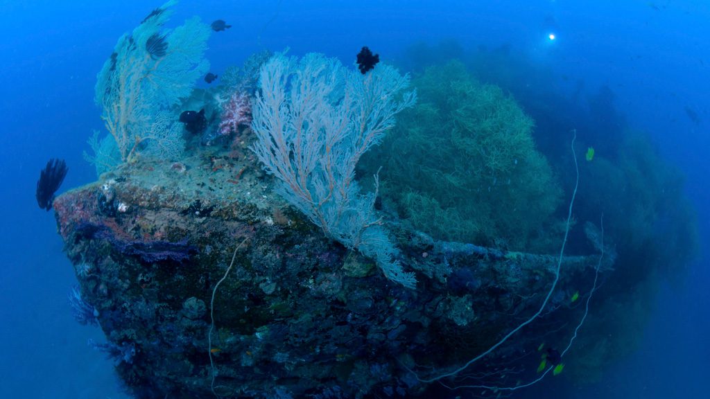 Nuigini Dive Adventures at Madang Resort and Kalibobo Village Papua New Guinea