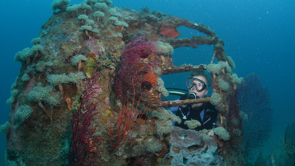 Dive Papua New Guinea with Niugini Dive Adventures and discover an underwater wonderland of marine life just minutes from Madang
