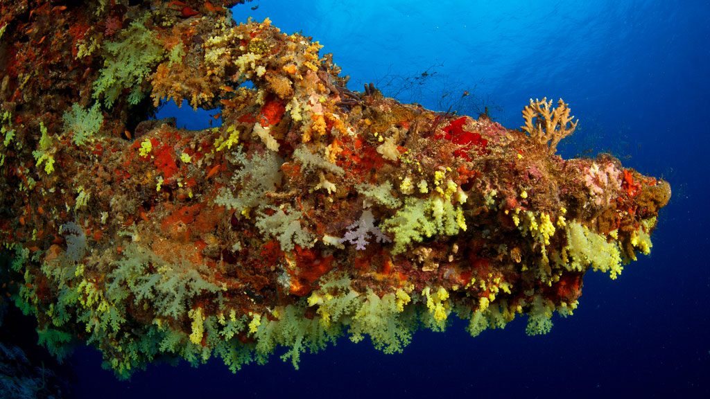 Scubaspa Liveboard, Central Atolls, Southern Atolls, Hannifaru Bay, Maldives