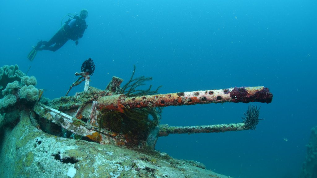 Nuigini Dive Adventures at Madang Resort and Kalibobo Village Papua New Guinea