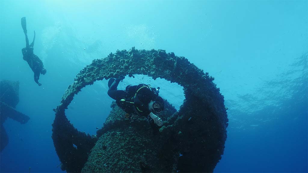 Wonder reef diver below flute top