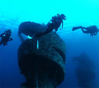 Wonder reef group of divers feature