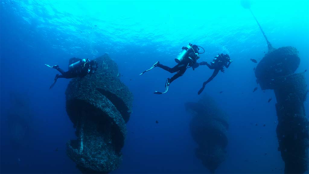 Wonder reef three divers and flutes