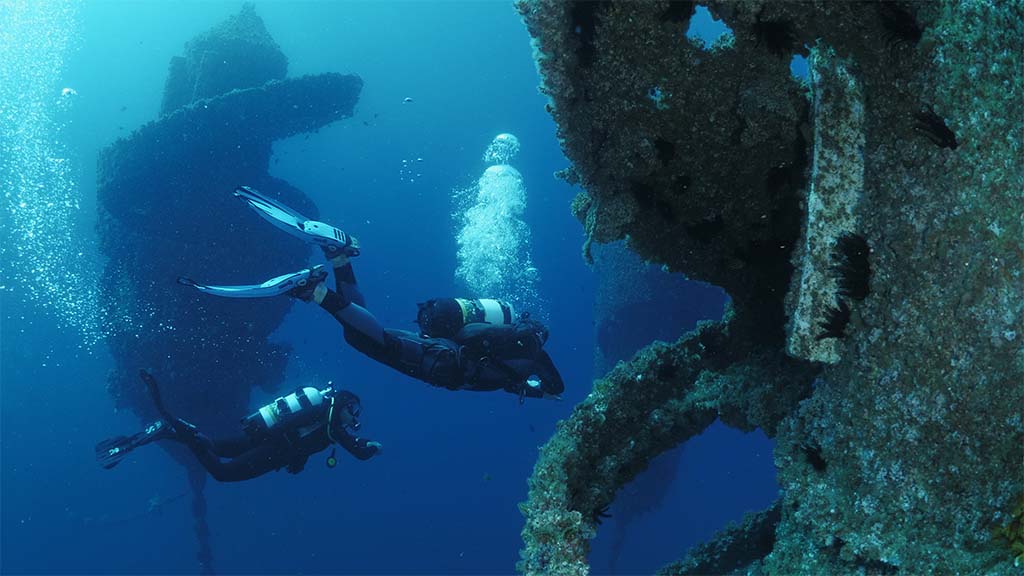 Wonder reef two divers and flutes