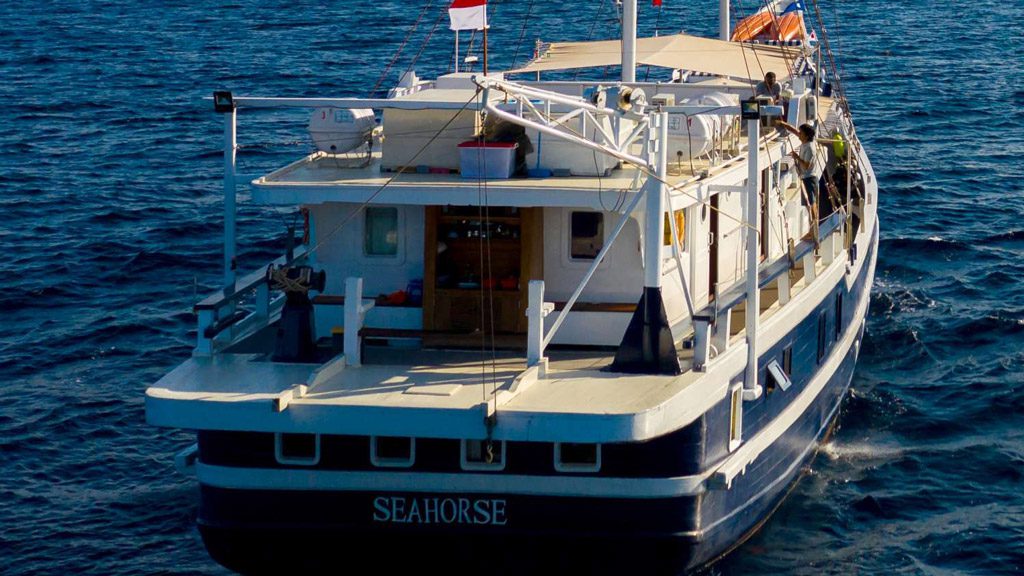 MSY Seahorse, Komodo, Raja Ampat, Halmahera, Forgotten Islands, Indonesia