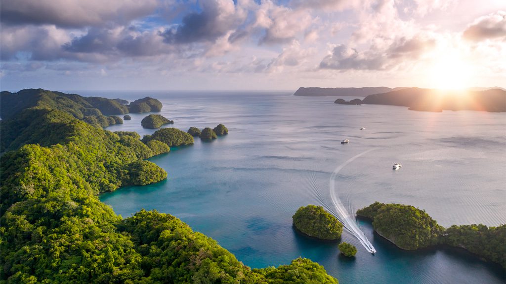 Fish 'n Fins Palau | Fish & Fins Dive Center Palau Micronesia