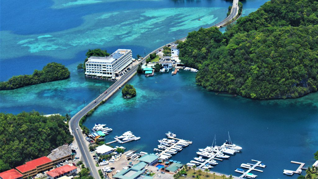 Fish 'n Fins Palau | Fish & Fins Dive Center Palau Micronesia