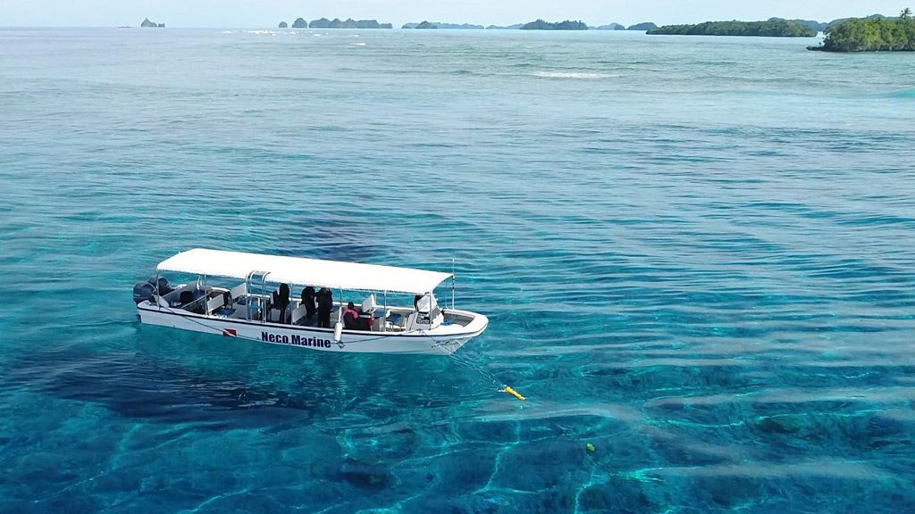 14 neco marine palau micronesia dive boat