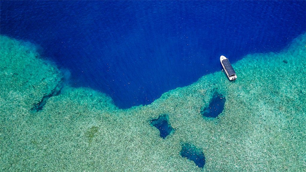 Fish 'n Fins Palau | Fish & Fins Dive Center Palau Micronesia