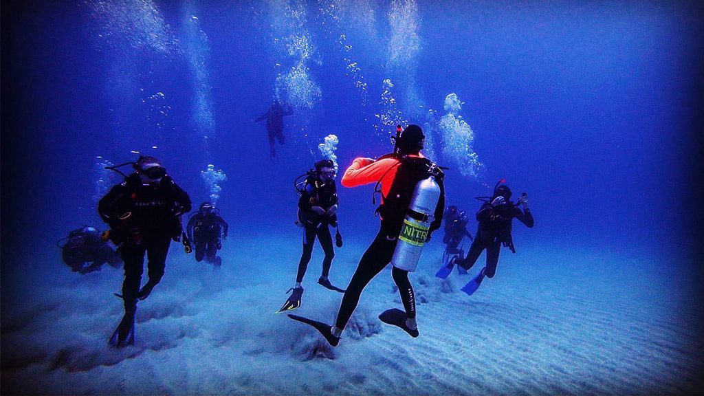 Dive Lord Howe and Leanda Lei Apartments, Lord Howe Island, Australia