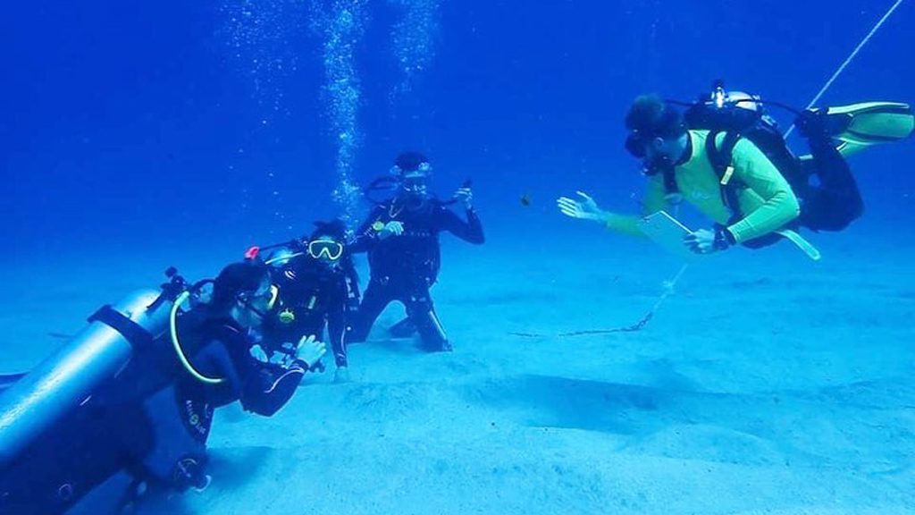 Dive Lord Howe and Leanda Lei Apartments, Lord Howe Island, Australia