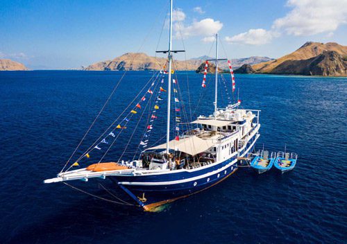 2 msy seahorse komodo raja ampat banda sea halmahera forgotten islands indonesia special