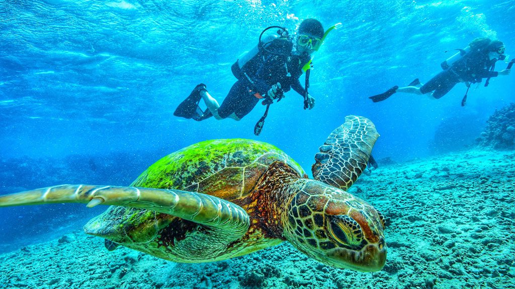 Galaxy Diver Liveaboard, Galapagos Islands