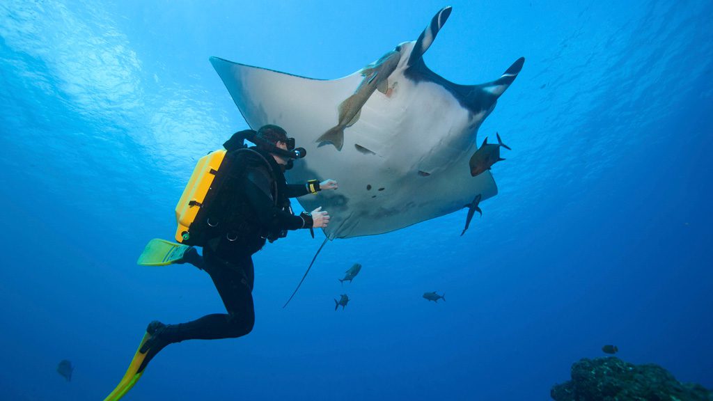 Galaxy Diver Liveaboard, Galapagos Islands