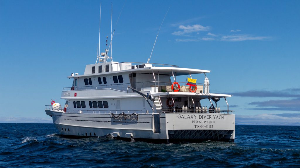 Galaxy Diver Liveaboard, Galapagos Islands