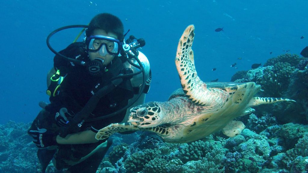 Neco Marine Dive Centre Palau, Micronesia