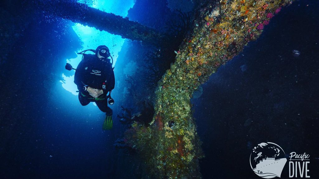 5 pacific dive espiritu santo vanuatu underwater diver