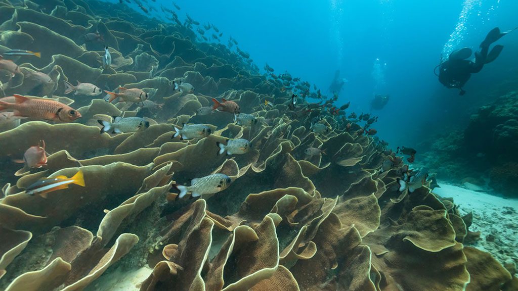 Palau ulong channel shutterstock 1186257148