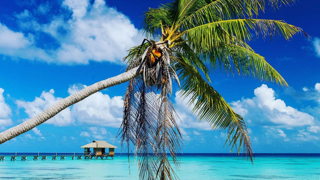 Havaiki Fakarava Lodge, Fakarava, French Polynesia