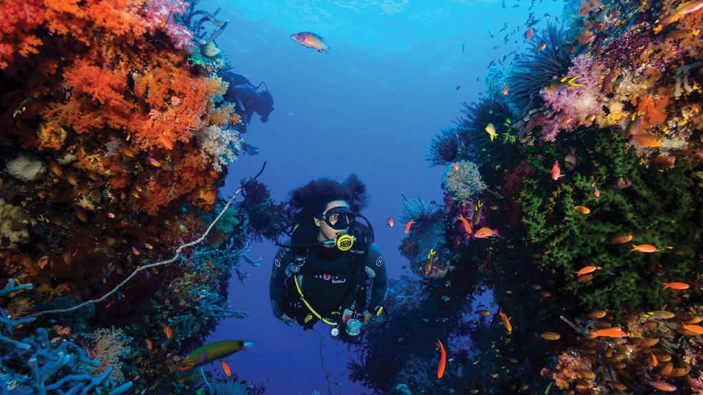 Raja Ampat Aggressor II, Liveaboard, Indonesia, The Coral Triangle