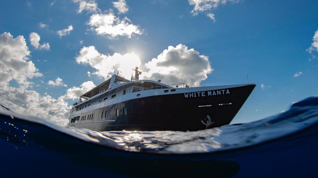 2 white manta raja ampat komodo indonesia hero