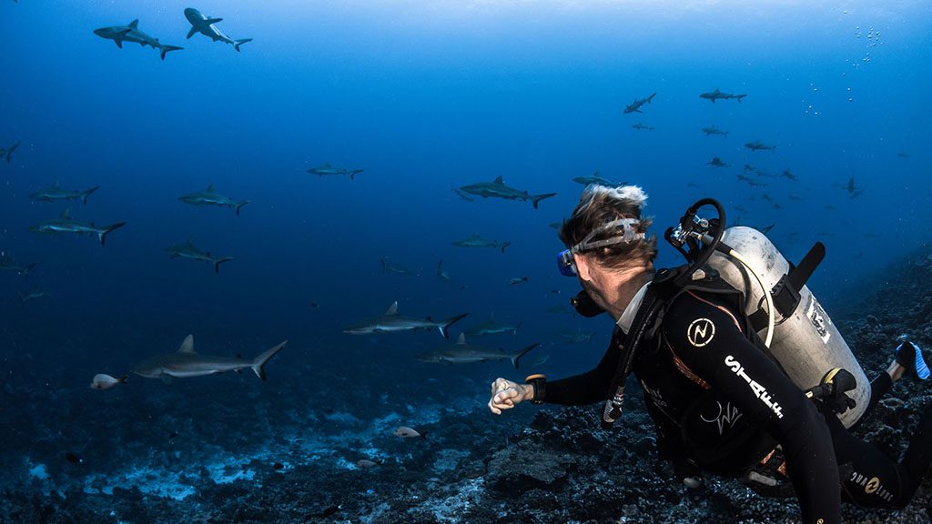 24 Top Dive South North Fakarava French Polynesia Fakarava diver and sharks credit Gregory Lecoeur