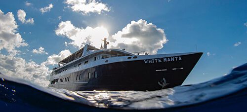 Last Minute Special: 20% off White Manta Raja Ampat trip