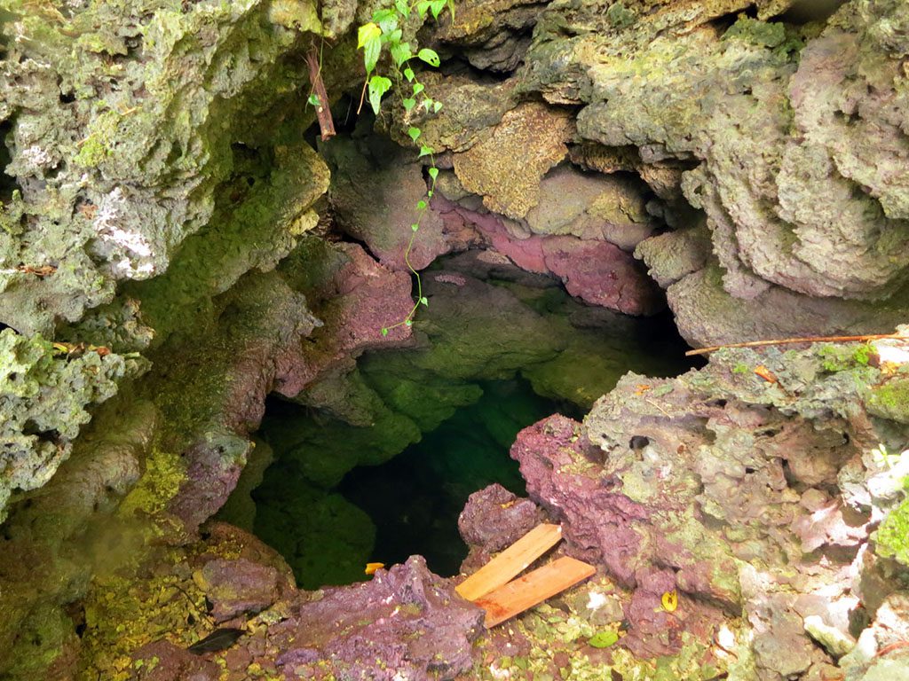 Munda Cave of Kastom Shark