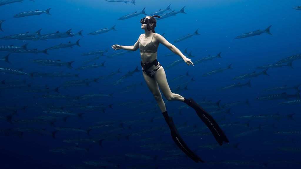 Uepi Point Chevron Barracuda with Kate Kelly