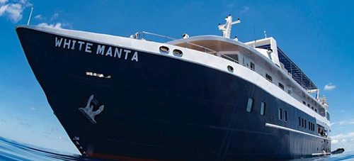 10% OFF selected Blue Manta and White Manta Explorer trips